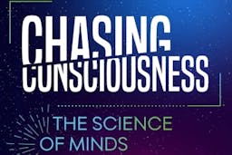 Chasing Consciousness